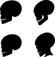 Silhouetted skulls in profile showing variations in cranial shape vector