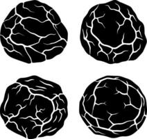 Four black truffles with cracked textured surfaces isolated on white background vector