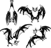 Detailed vintage illustrations of four bats in various poses against a white background vector