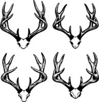 Detailed hand drawn illustrations of four majestic deer antlers and skulls vector