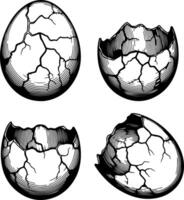 Detailed illustration of a cracked eggshell in four stages of breakage vector