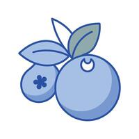 Blueberry Fruit Outline with White Background vector