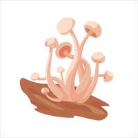 Isolated white beech mushrooms growing out of wood. Illustration is perfect for culinary website, app, autumn and forest theme, decor, educational materials, children's books vector