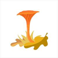 Cosy and seasonal illustration of an orange chanterelle with grass and fallen leaves. Suitable for educational materials, children's books, stationery, stickers, autumn design vector