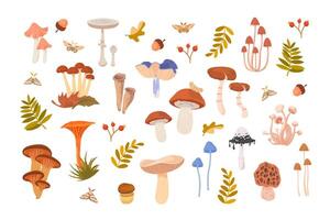 Colorful mushrooms and plants illustration vector