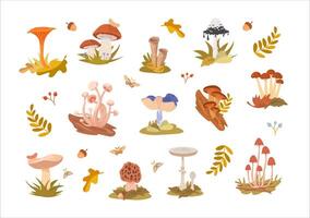 Collection of colorful mushrooms and plants vector