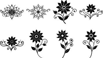 Classic Black White Botanical Art Bundle Timeless Flower Illustrations Decorative Elements vector