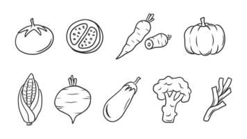 Assorted Hand-Drawn Vegetables, Tomato, Carrot, Pumpkin, Corn vector