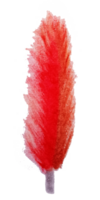 Abstract Watercolor Feather in Red Hues png