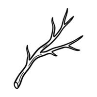 Black and white line drawing of a leafless branch hand drawing illustration vector