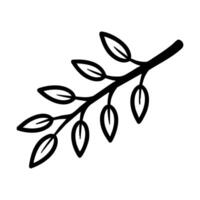A black and white line drawing of a stylized plant branch with leaves hand drawing illustration vector
