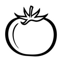 Simple black and white line drawing of a tomato hand drawing illustration vector