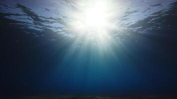 Rays of Sunlight Pass Through the Calm Ocean During a Spiritual Concentration video
