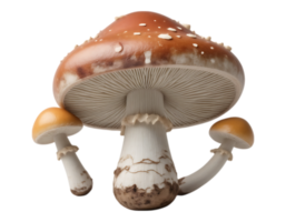 Amanita Mushroom Trio Detailed 3D Render with Transparent Background png