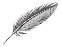 Elegant Silver Feather on Transparent Background png