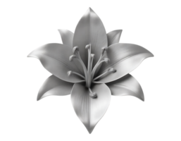 Elegant Silver Lily Blossom with Transparent Background png
