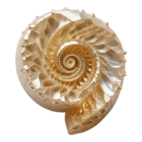 A gold and white shell with a spiral pattern png