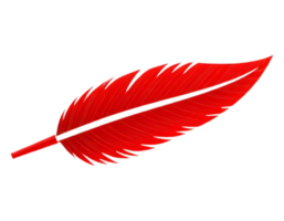 Vibrant Red Feather with Transparent Background png