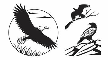 Eagle and eagle silhouette illustration vector