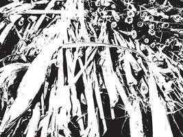 Abstract black and white grunge texture with scattered organic shapes and lines silhouette isolated on transparent background vector