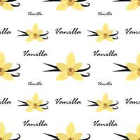 Seamless pattern with vanilla on a white background vector