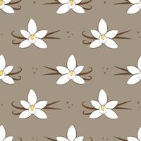 Seamless pattern with vanilla on a beige background vector
