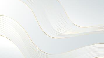 Elegant white-gray luxury background . Abstract wave dynamic wallpaper with gold lines vector