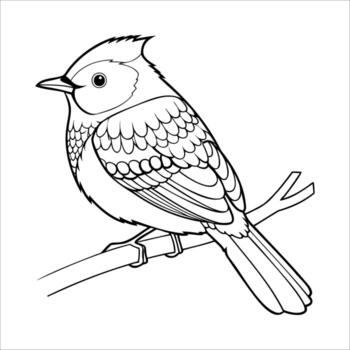 A detailed line drawing of a small bird perched on a branch. The bird has a rounded body, short beak, and intricate feather patterns. vector
