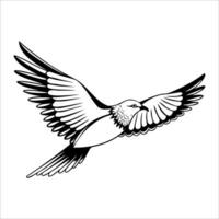 A stylized illustration of a bird in flight, showcasing detailed wings and a streamlined body. The design emphasizes motion and grace. vector