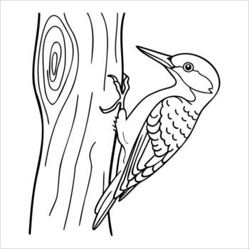 A woodpecker clings to a tree trunk. The bird has a distinct patterned body and a pointed beak, showcasing its natural behavior in a forest environment. vector