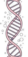 A pink DNA helix with white bubbles on a white background, scientific illustration, simple design, educational material, molecular biology conce vector