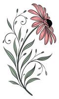 Close-up of the Gloriosa Daisy flower arranged beautifully and decorated with vines vector