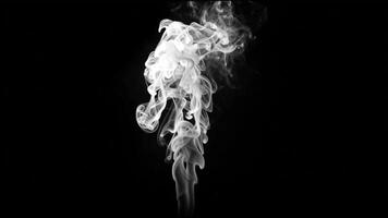 A single, delicate plume of white smoke rises and curls against a deep black background, creating a minimalist and elegant composition that evokes a sense of calm, mystery, and quiet beauty. video