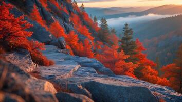 Vibrant Fall Foliage Along Rocky Mountain Ridge with Distant Fog photo
