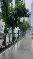 Monsoon Rain Falling Over Dhaka Streets video