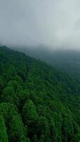 Aerial View of Nepal Green Hills video