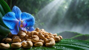 Cashews and Blue Orchid with Water Droplets in Forest Setting photo