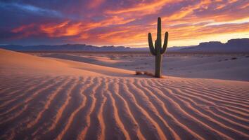 Cactus Stands Tall in Desert Landscape at Sunset with Striking Sky photo