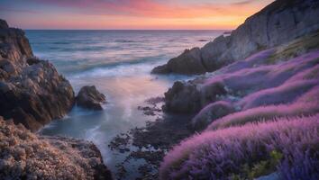 Coastal Sunset with Lavender Field and Rock Formations Along the Shore photo