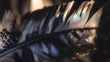 Close Up of a Majestic Feather With Iridescent Light and Shadows. photo