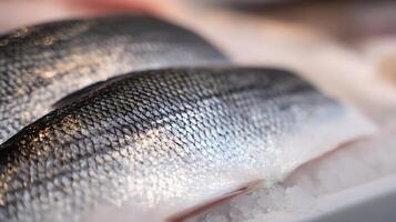 Close Up of Fresh Fish Fillets on Ice Ready for Cooking. photo