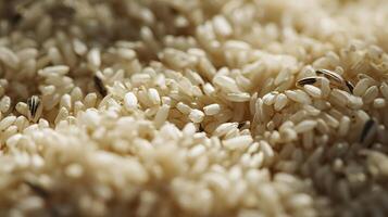 Textured Close Up of Grains with Sunlit Highlights and Shadows. photo