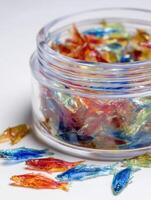 Colorful Fish Flakes in a Clear Container on a Bright Surface With Space Left Open for Additional Elements photo