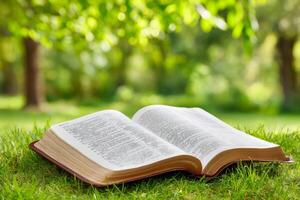 Open holy bible resting on green grass in peaceful park setting photo