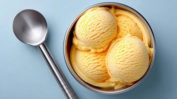 Ice cream scoops resting in metal bowl with ice cream scoop beside photo