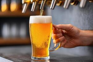 Bartender pouring fresh beer into glass from tap in pub photo