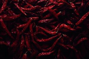 Dried red chili peppers close-up photo