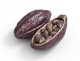 Cocoa beans on white background photo