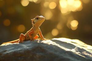 A small lizard basking in the sun photo