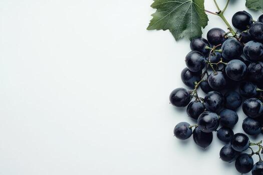 Dark grapes on a light background photo
